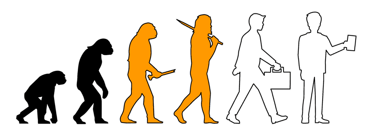 Wie Beeinflusst Der Mensch Die Evolution